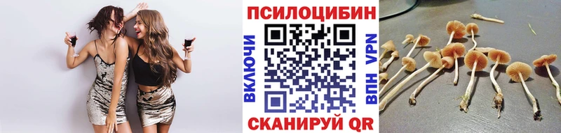продажа наркотиков  Оха  Псилоцибиновые грибы мицелий 